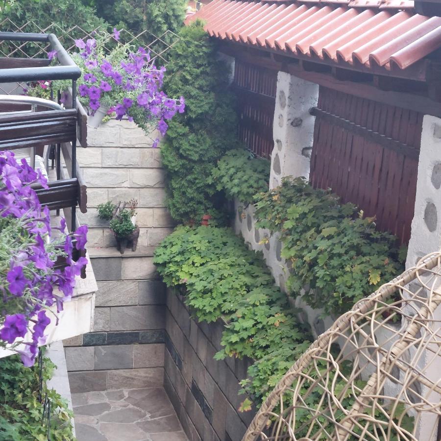 Guest House Planinski Zdravets Bansko Dış mekan fotoğraf