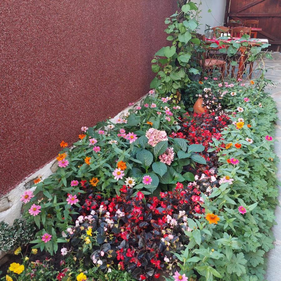 Guest House Planinski Zdravets Bansko Dış mekan fotoğraf