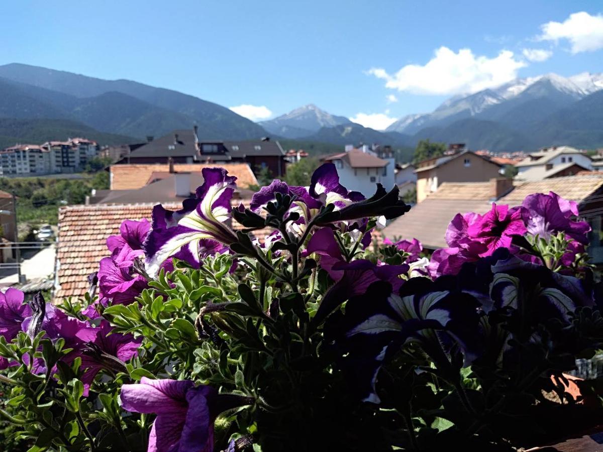 Guest House Planinski Zdravets Bansko Dış mekan fotoğraf